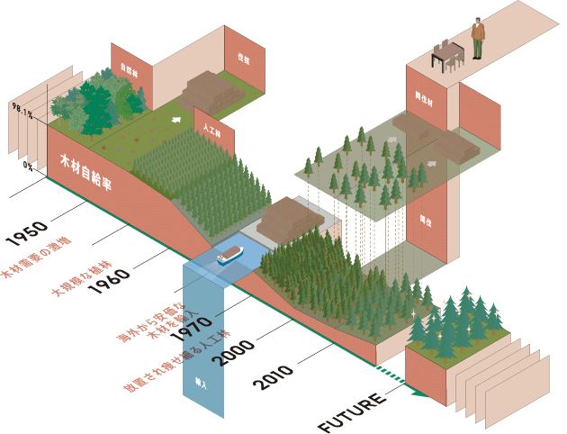 インフォグラフィックで見る日本の人工林の歴史の図